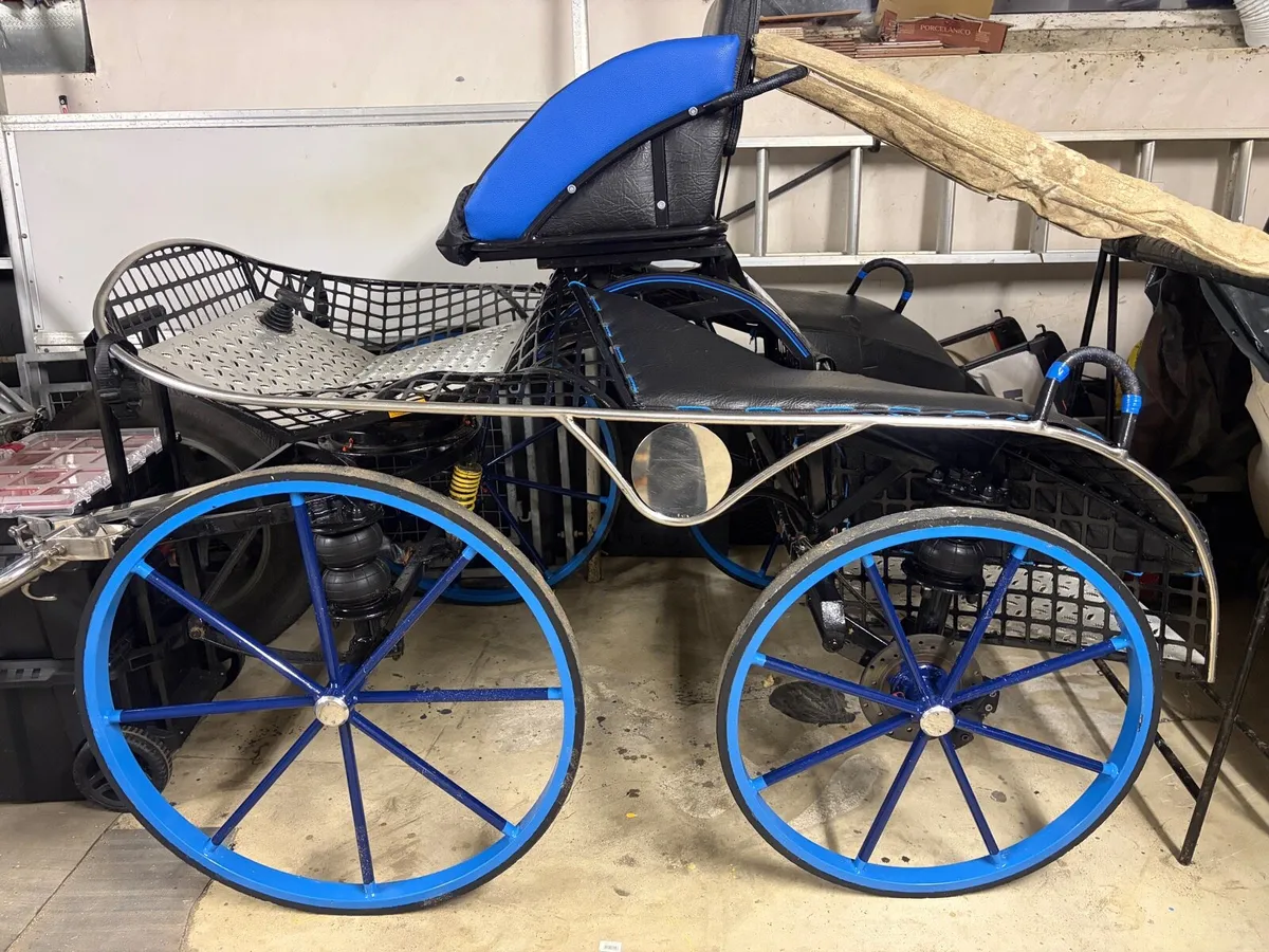 Horse carriage - Image 4