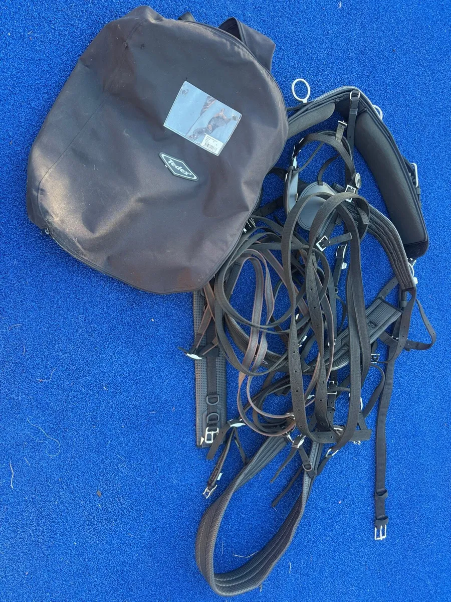 Driving Harness Zilco Tedex - COB - Image 1
