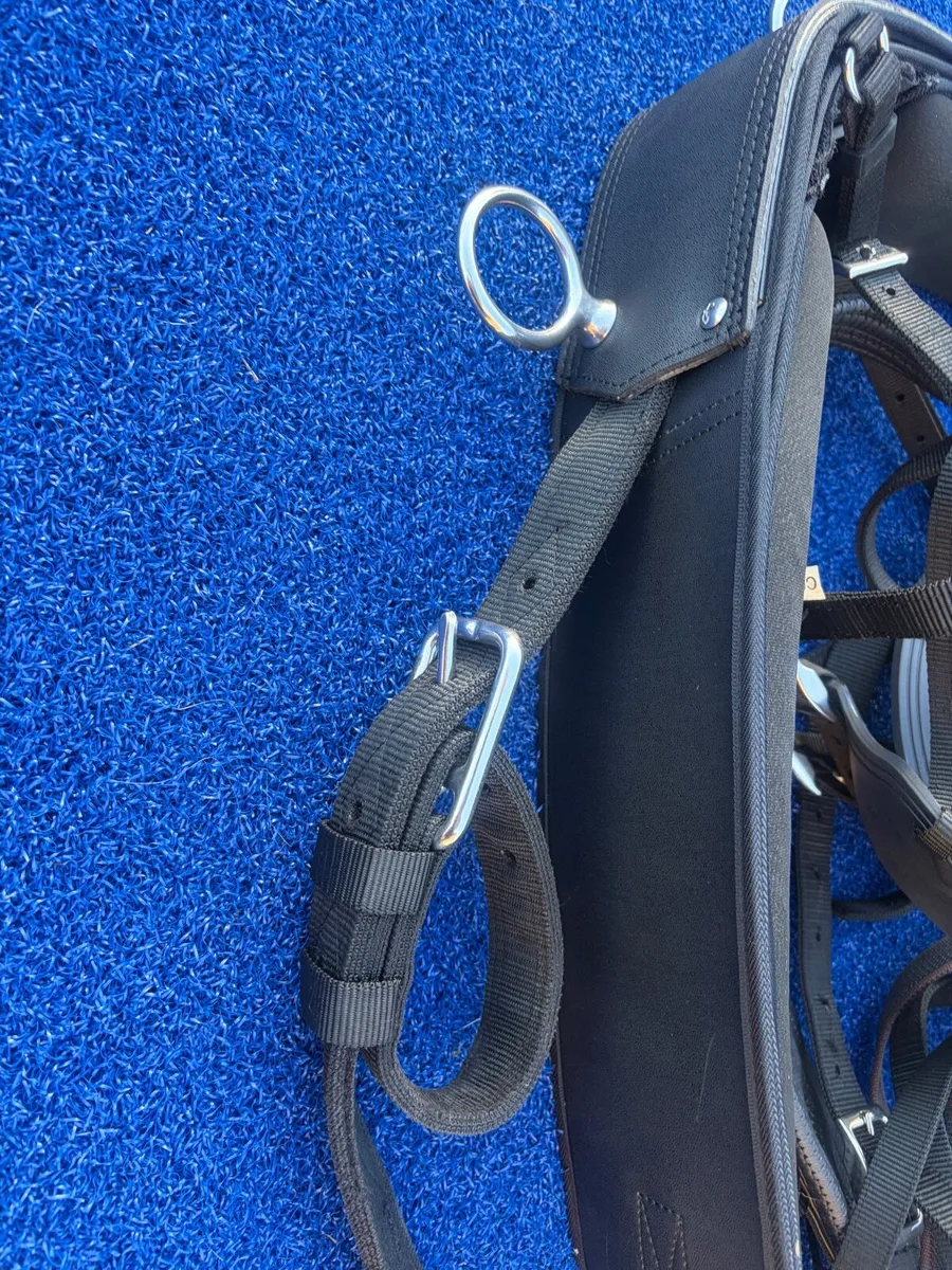Driving Harness Zilco Tedex - COB - Image 2