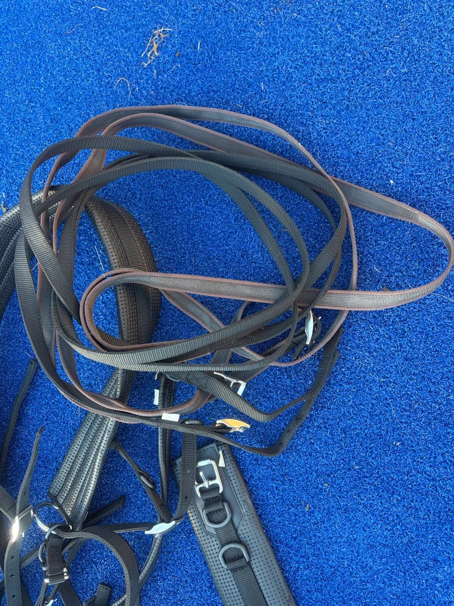 Driving Harness Zilco Tedex - COB - Image 3