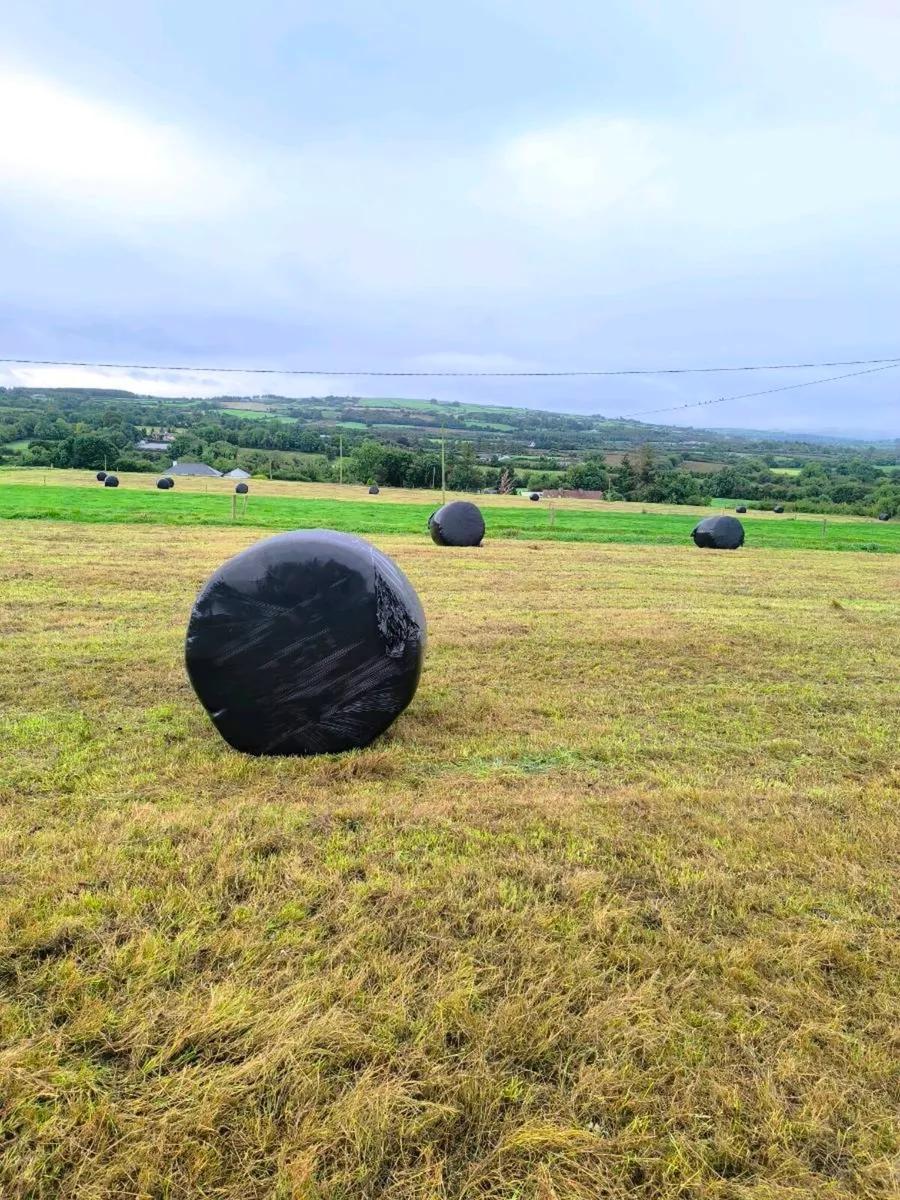 Round Bale Silage - Image 1