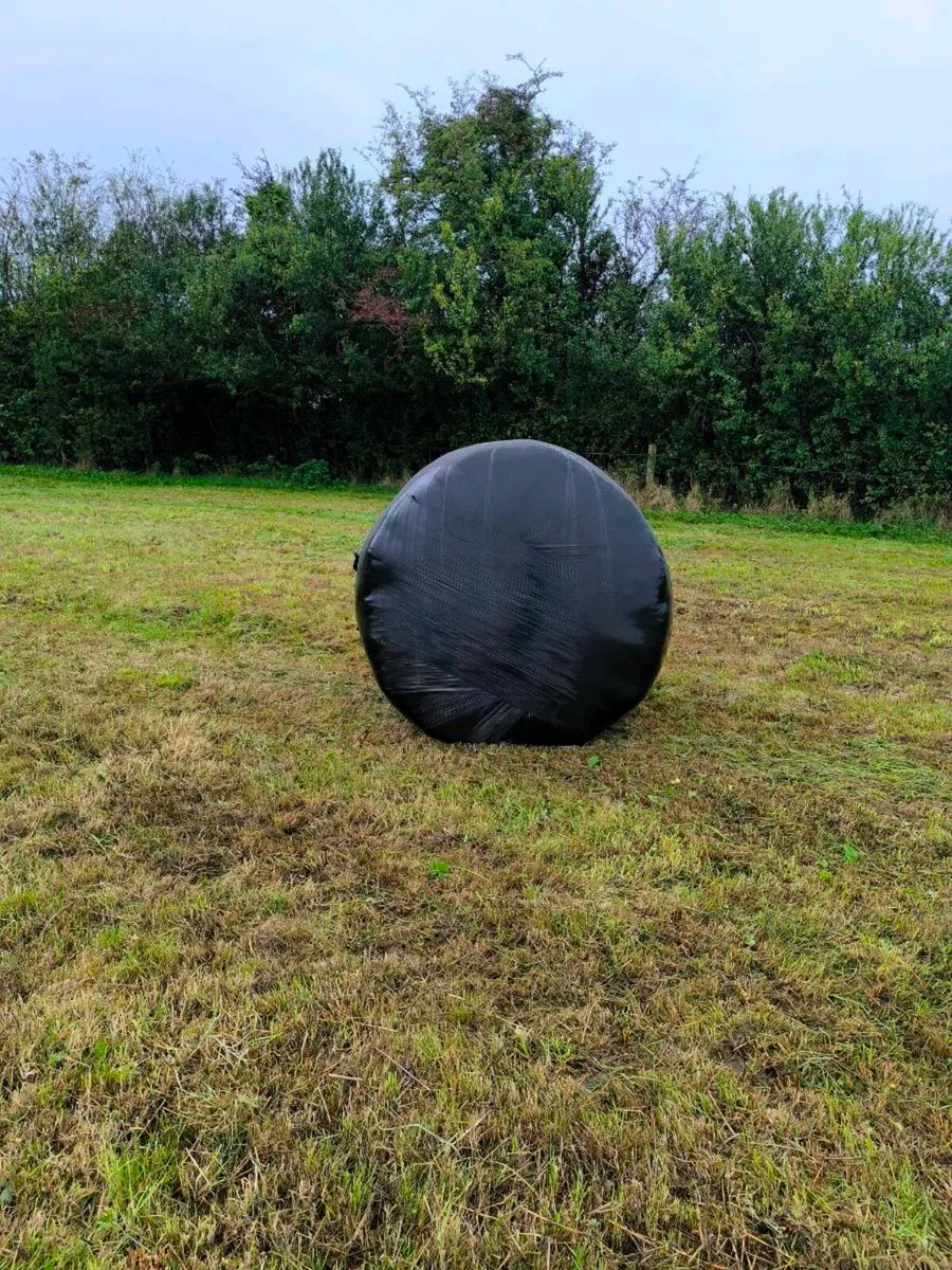 Round Bale Silage - Image 2