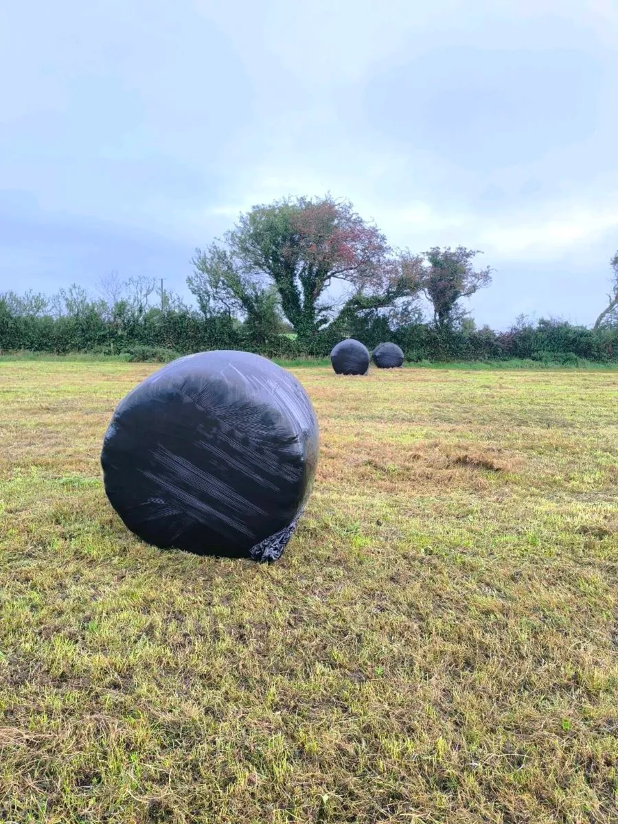 Round Bale Silage - Image 3