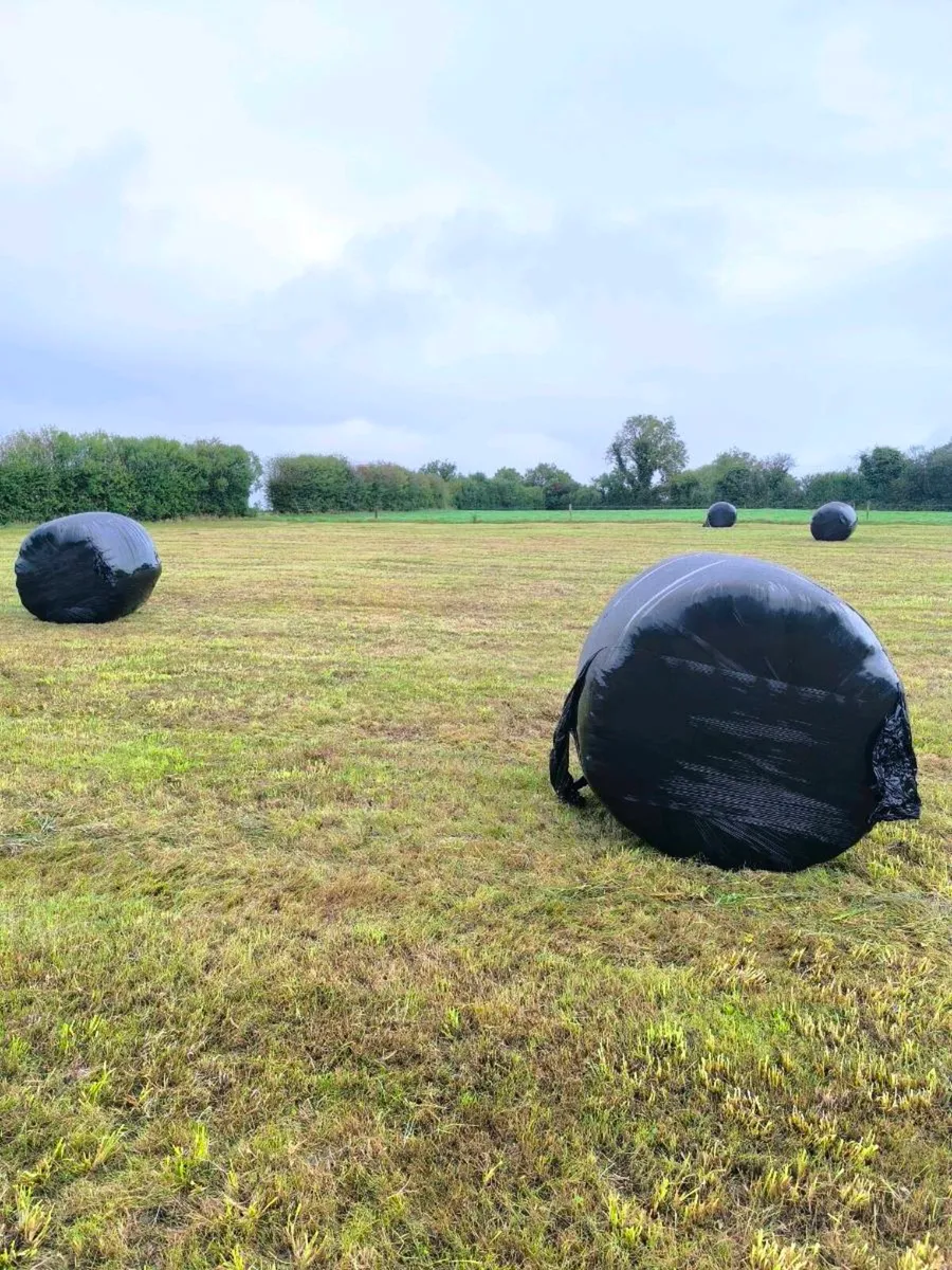 Round Bale Silage - Image 4