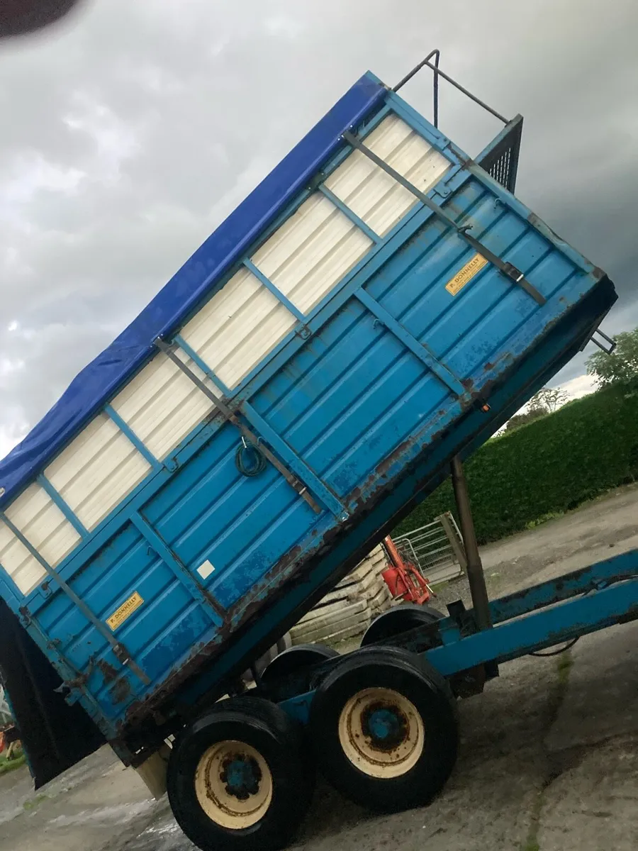 Donnelly 16ft  trailer ,  rollover cover & catwalk - Image 2