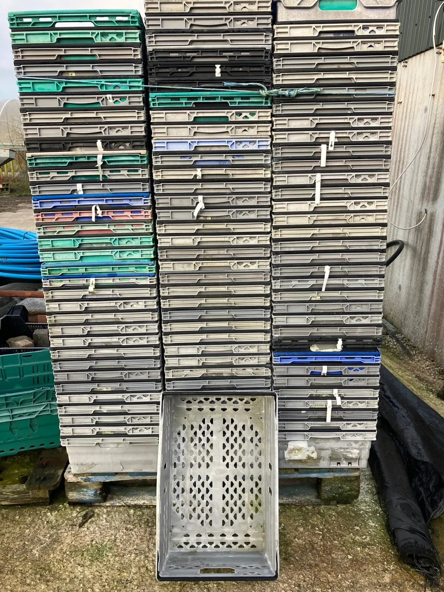 Crates - Image 1