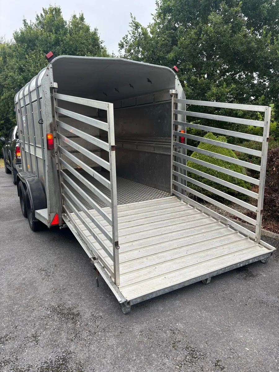 Ifor williams 10x6 cattle box - Image 2