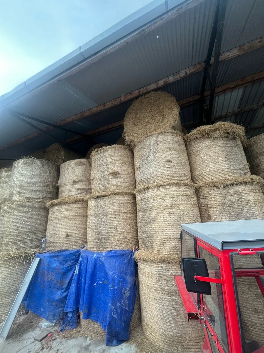 Fodder - Image 1