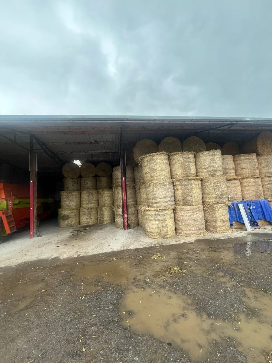 Fodder - Image 2
