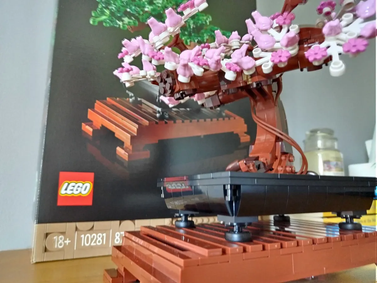 LEGO Botanical Collection 10281 Bonsai Tree €25 - Image 1