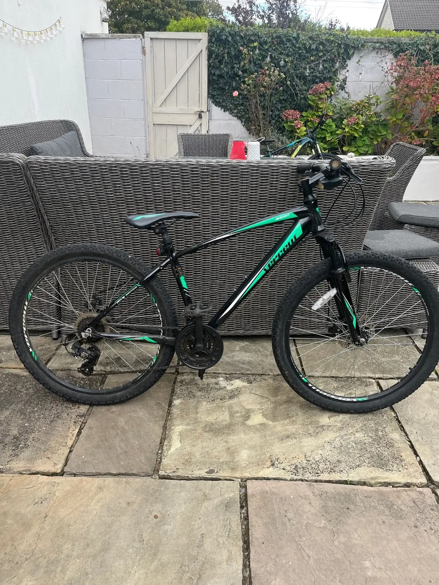 Kids mountain bike (used) - Image 1