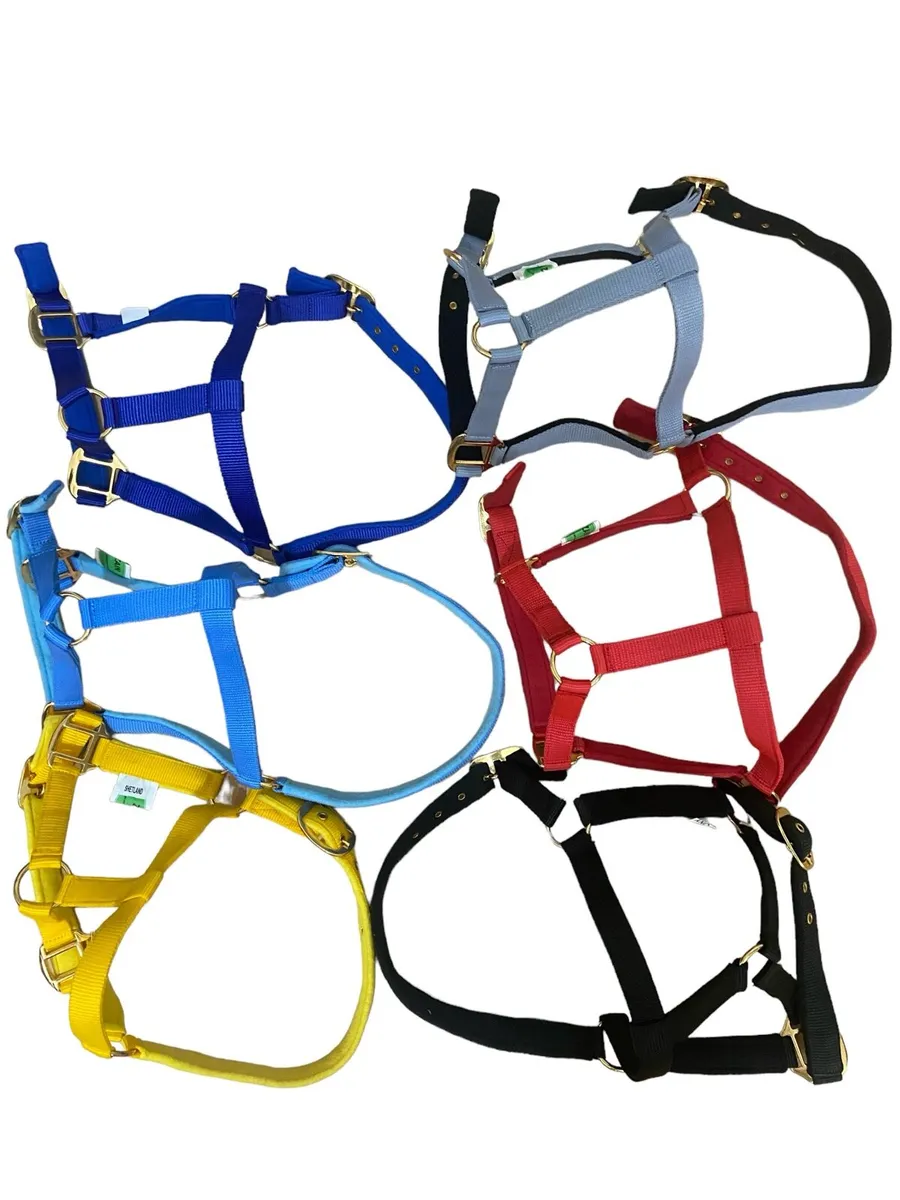 Nylon halter - Image 1