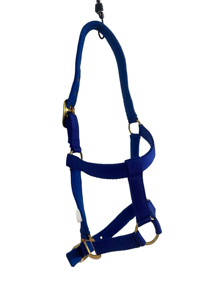Nylon halter - Image 2
