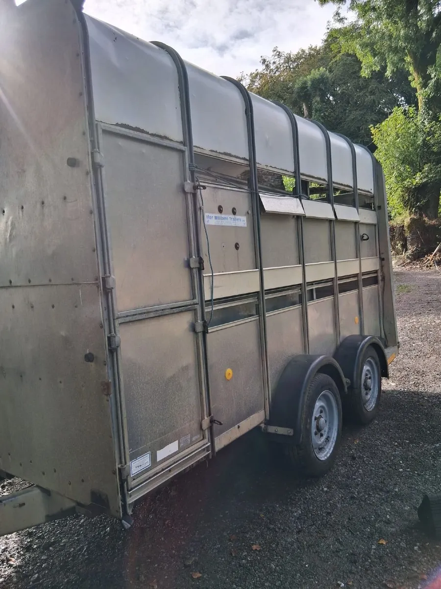Cattle Horse Trailer Ifor Williams - Image 3