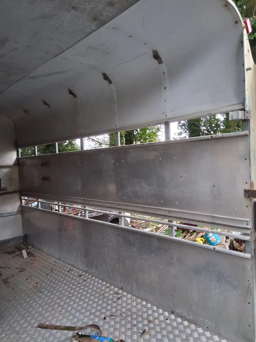 Cattle Horse Trailer Ifor Williams - Image 4