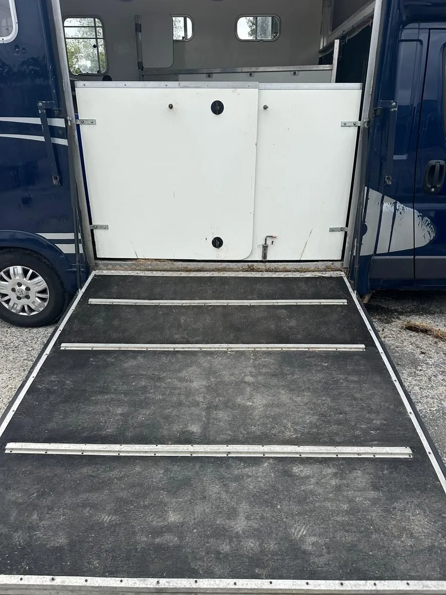 Peugeot Equi-Trek 2 Horsebox Excellent Condition - Image 3