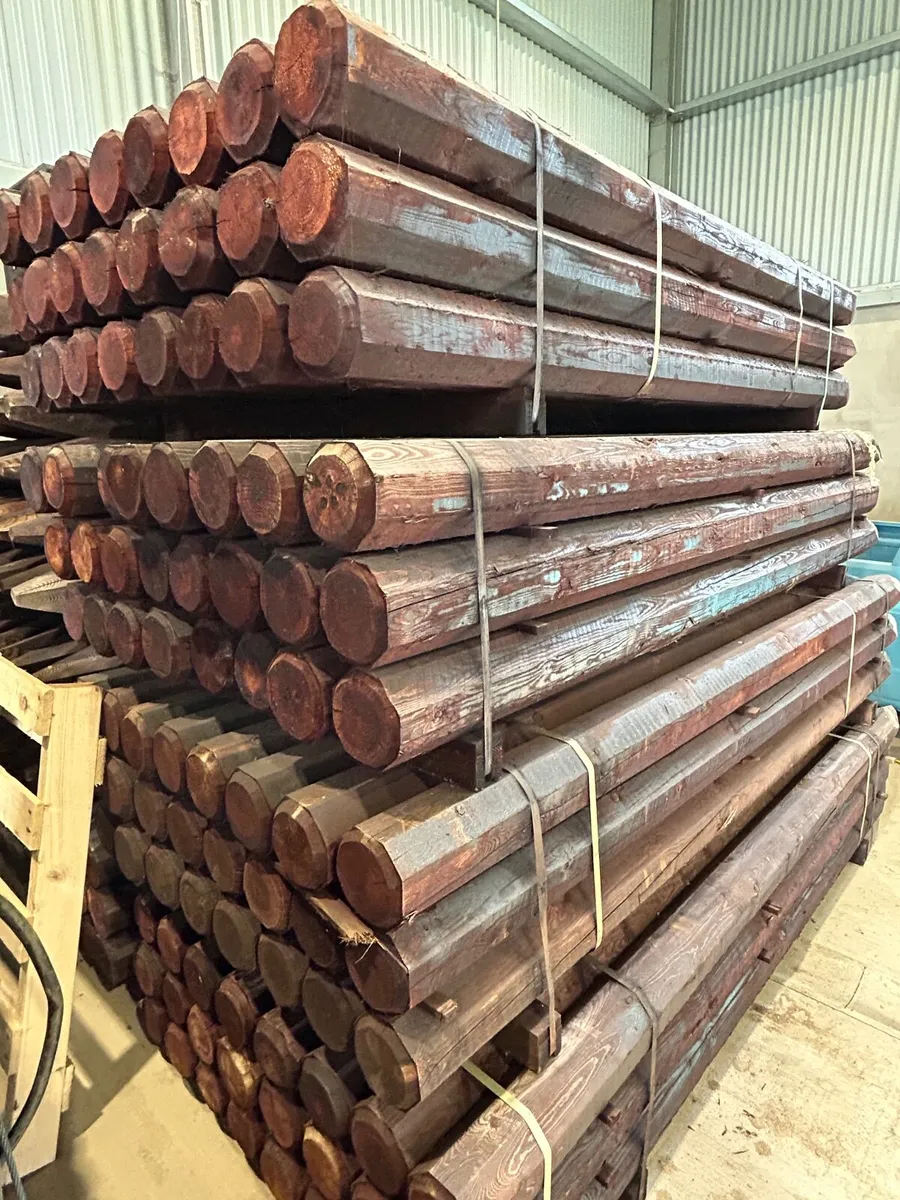 Fence posts - Image 3