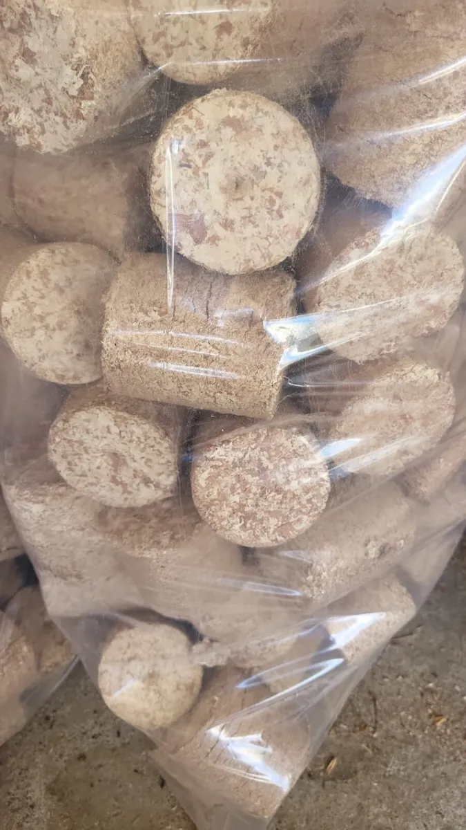 Wood Briquettes - Image 1