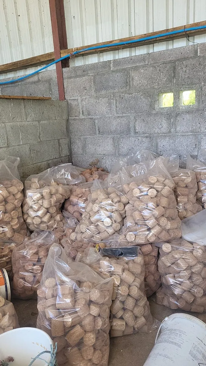 Wood Briquettes - Image 2