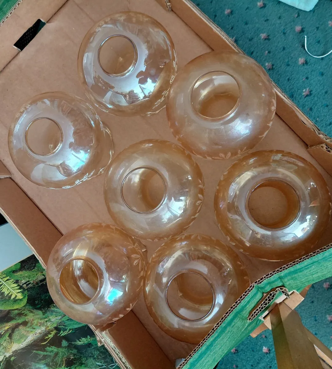 Vintage  set of glass shades - Image 4