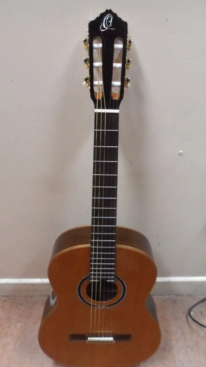 Ortega Electro-Classical Guitar (RE159RWSN) - Image 1