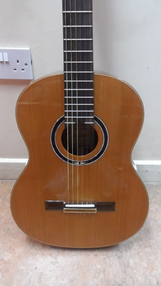 Ortega Electro-Classical Guitar (RE159RWSN) - Image 4
