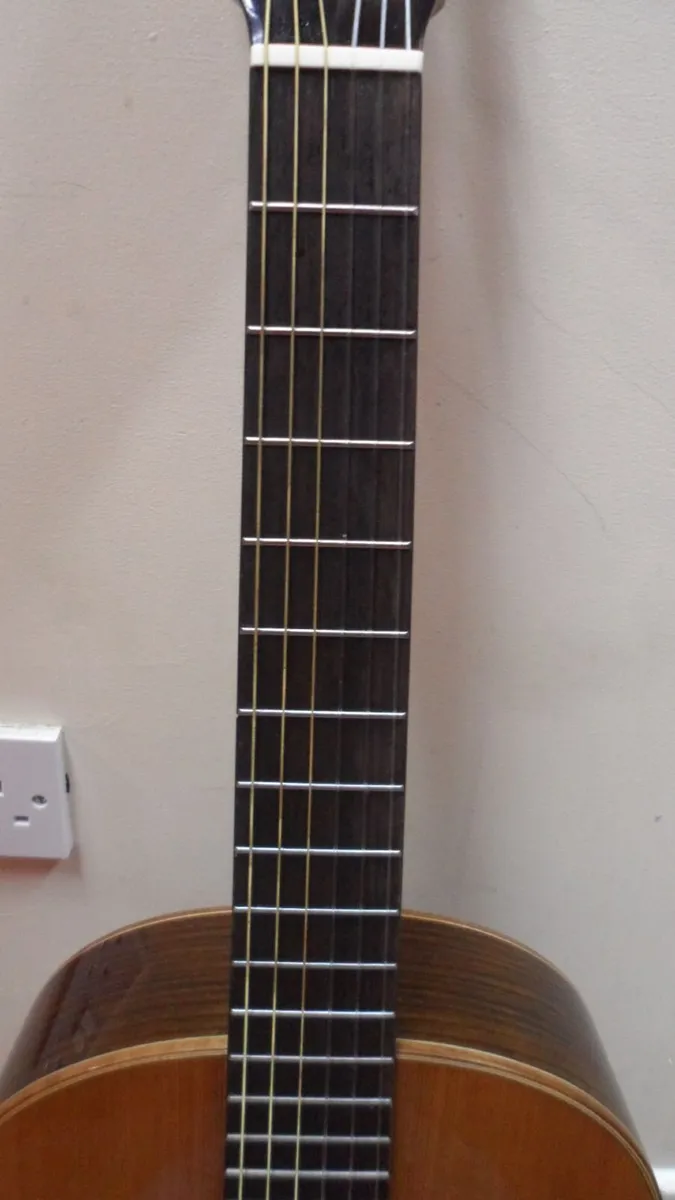Ortega Electro-Classical Guitar (RE159RWSN) - Image 3