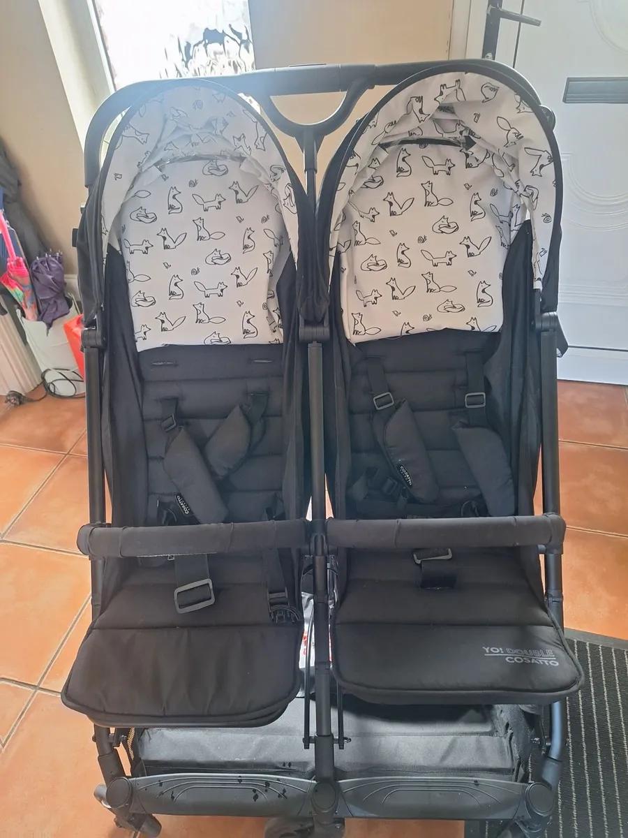 Double buggy - Image 1