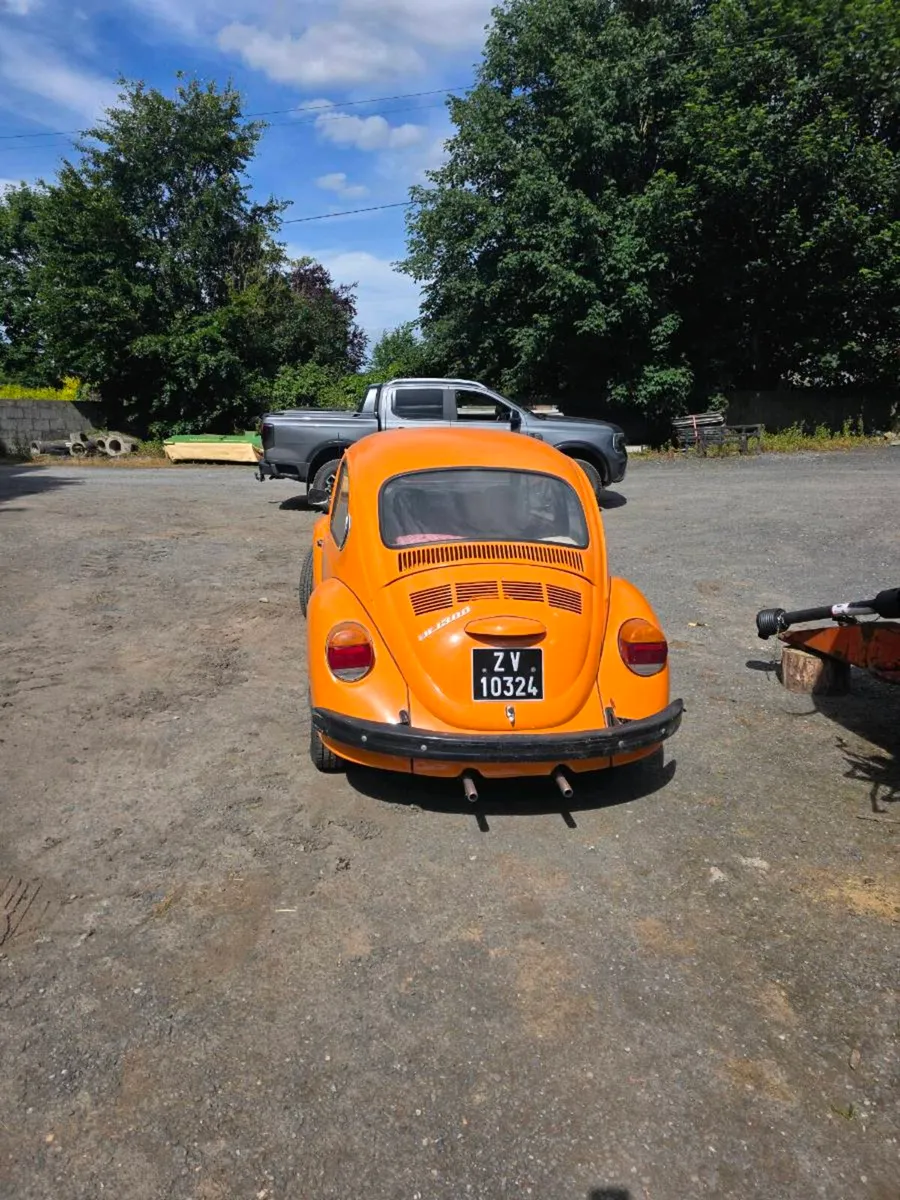 beetle - Image 2
