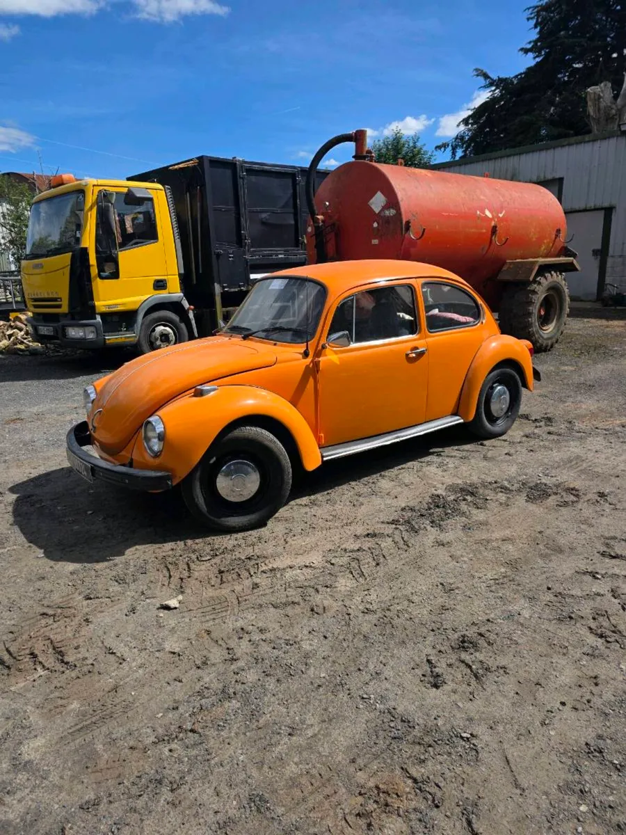 beetle - Image 1