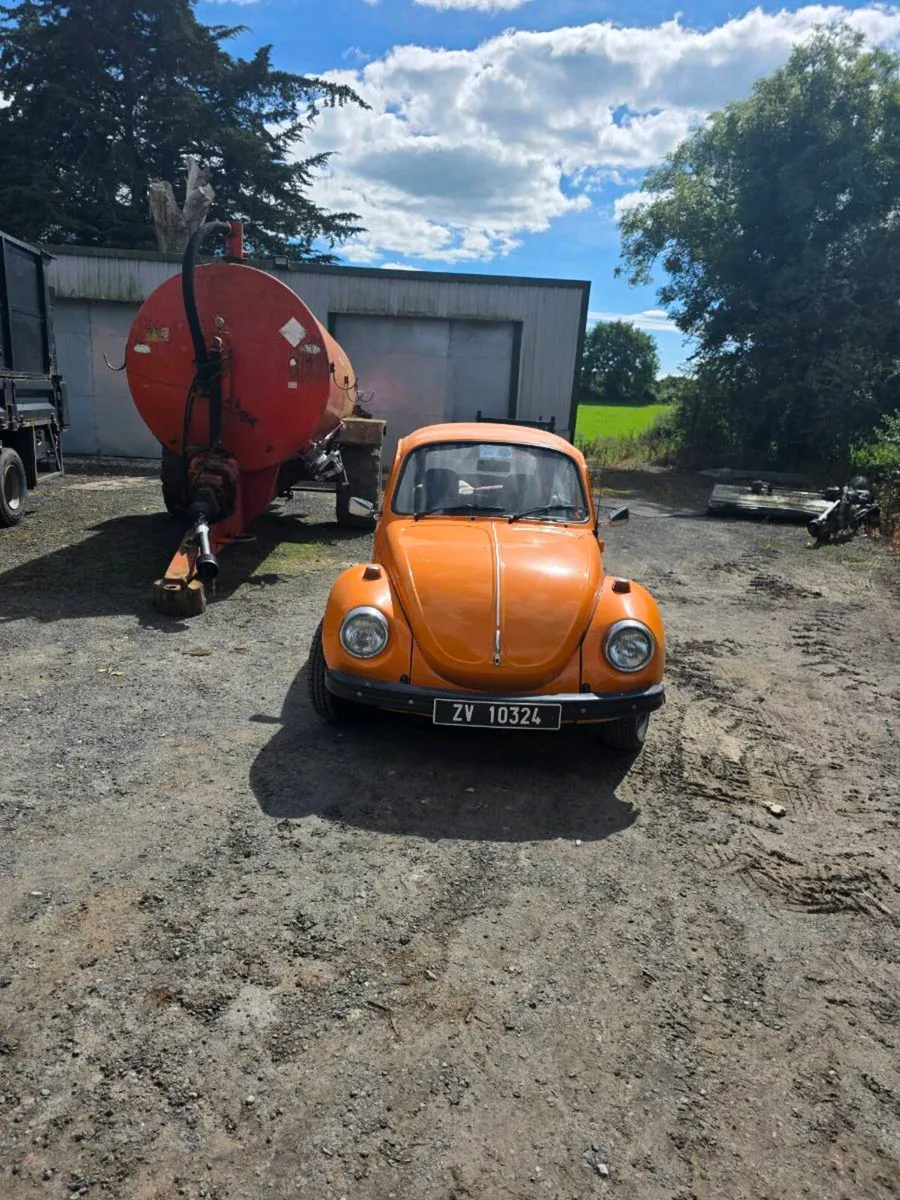beetle - Image 3