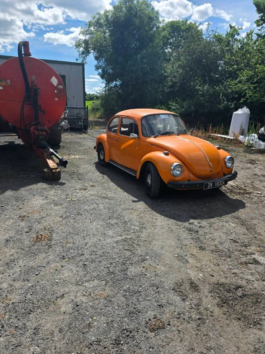 beetle - Image 4