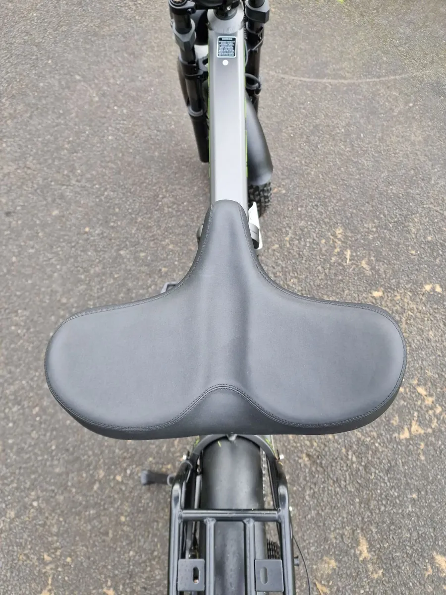 Electric Bike - Image 2