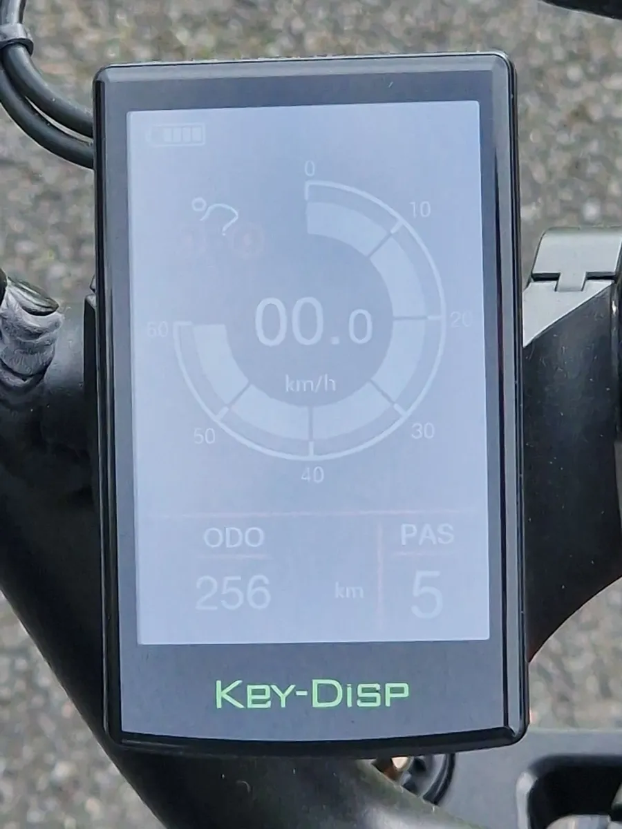 Electric Bike - Image 4