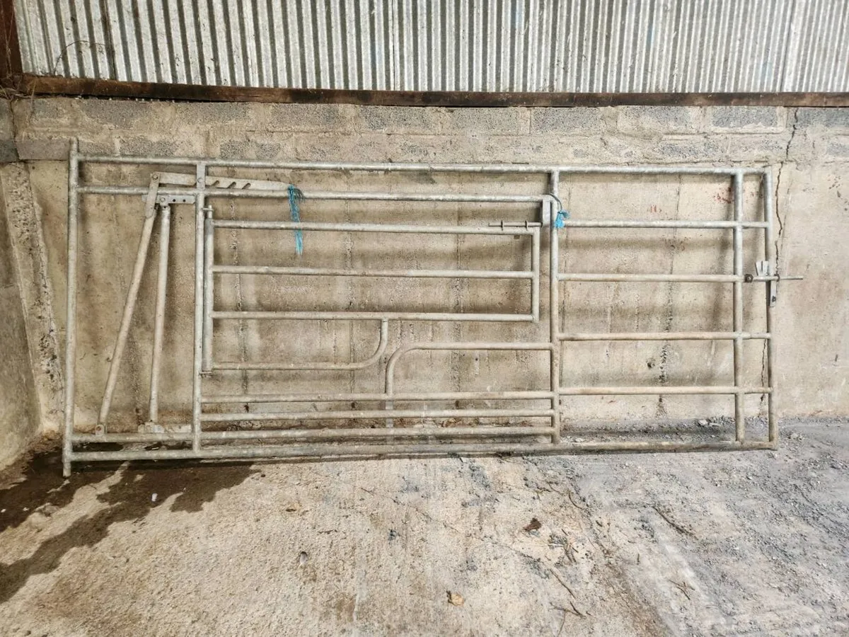 Calving gate - Image 1
