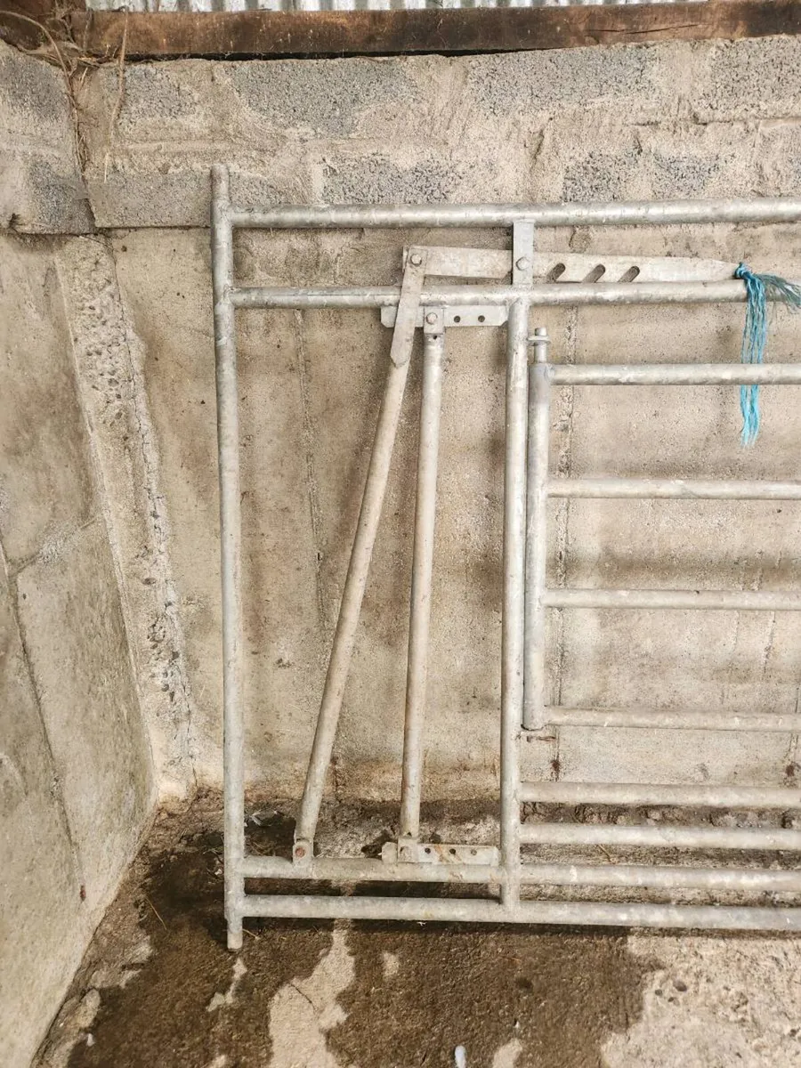 Calving gate - Image 2