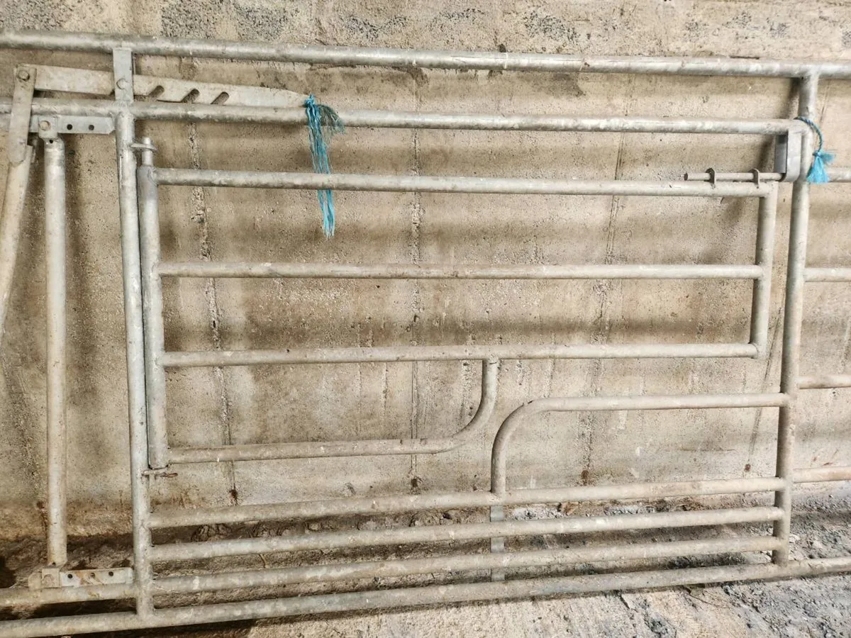Calving gate - Image 3