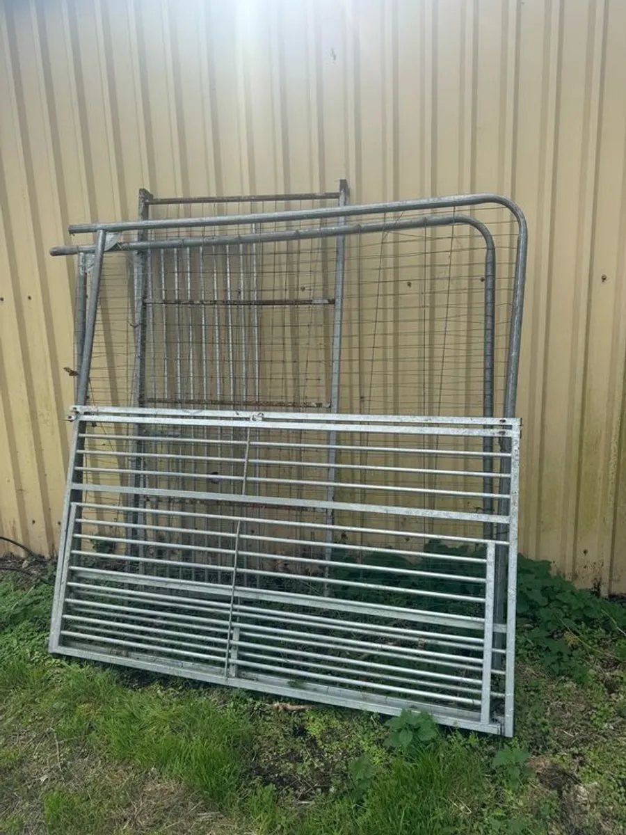 FREE Steel and Wooden Gates - Image 2