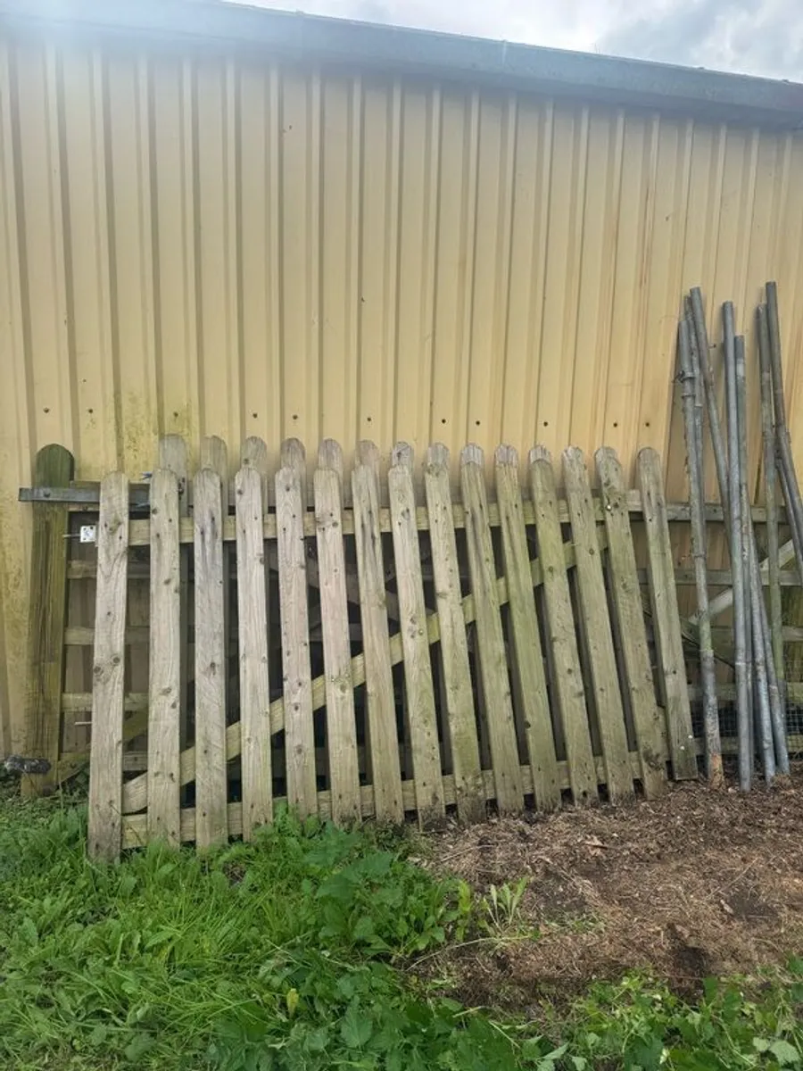 FREE Steel and Wooden Gates - Image 4
