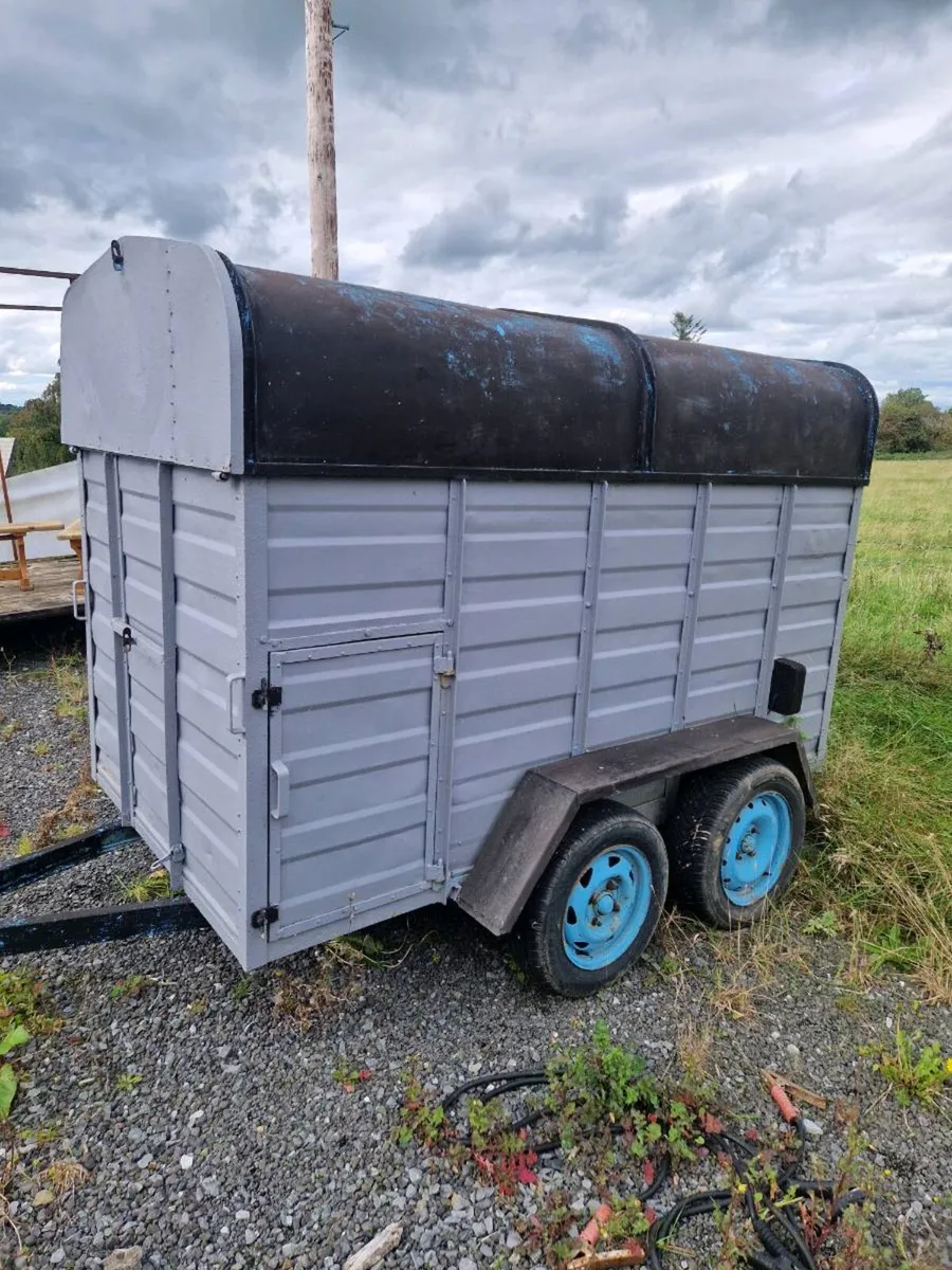 Cow box - Image 1