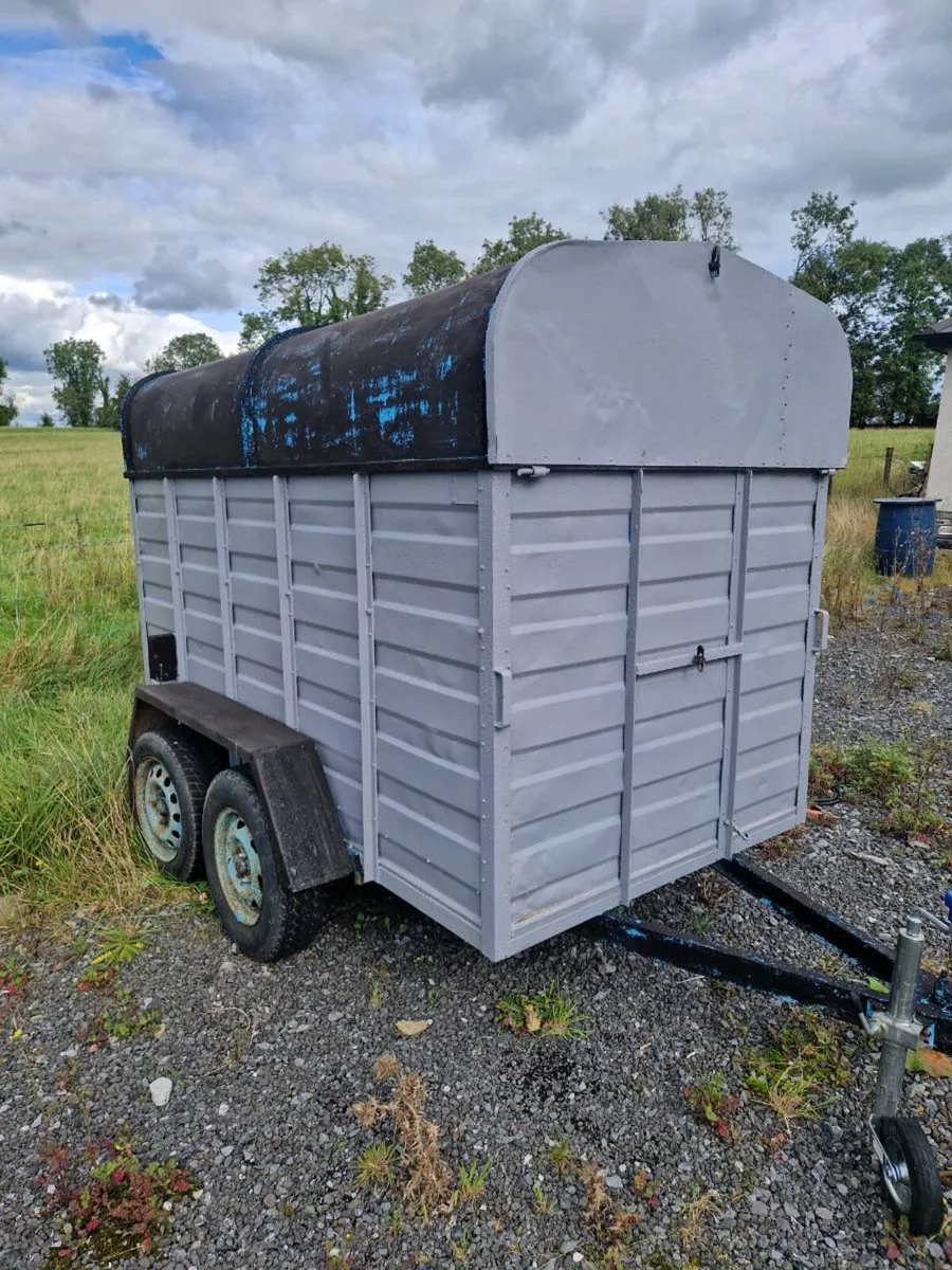 Cow box - Image 2