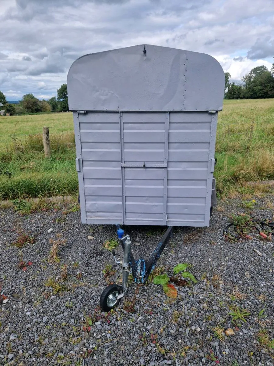 Cow box - Image 3