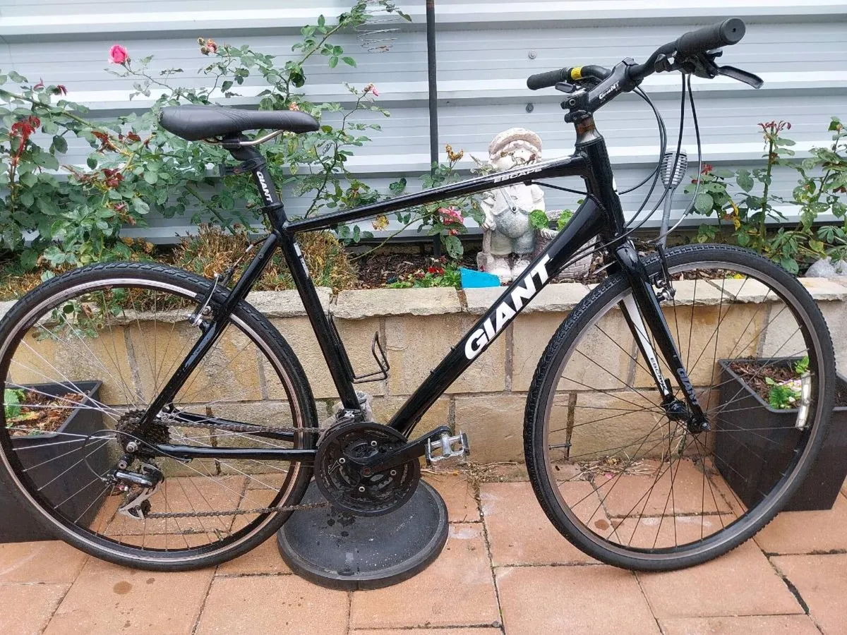 Giant escape hybrid - Image 2