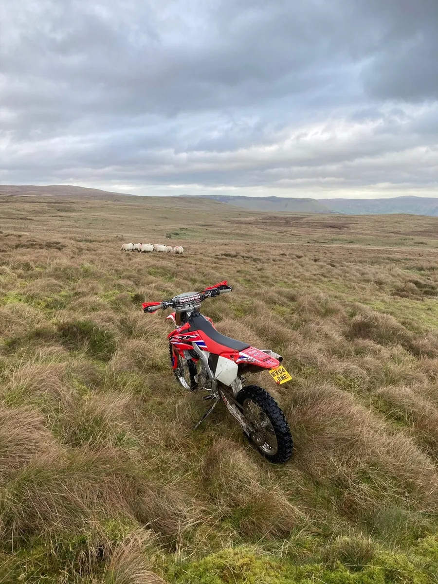 Honda CRF 2004 - Image 3