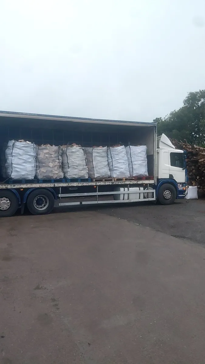 Quailty dry hardwood Ash firewood - Image 2