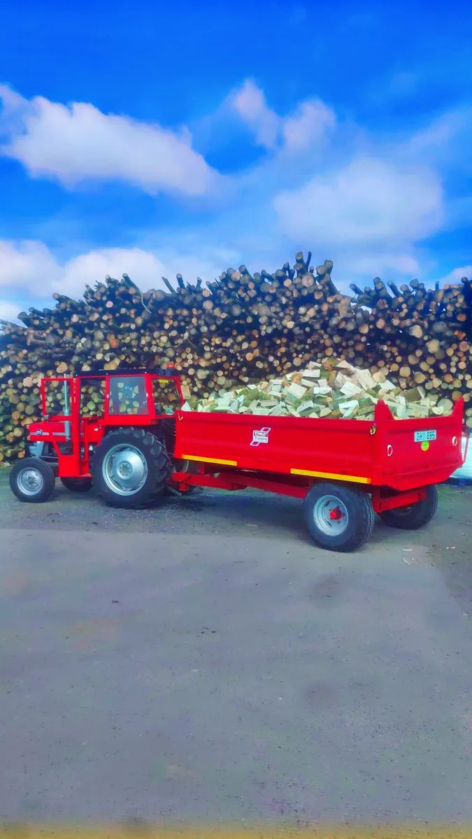 Quailty dry hardwood Ash firewood - Image 3