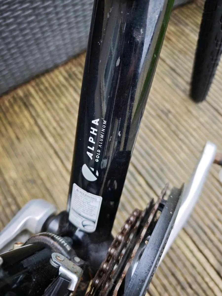 Bicycle - Image 4