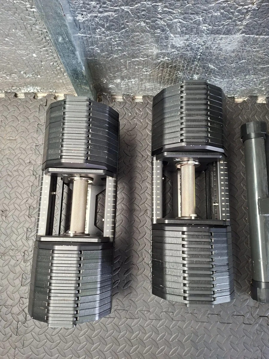 rep pepin fast adjustable dumbbells - Image 1