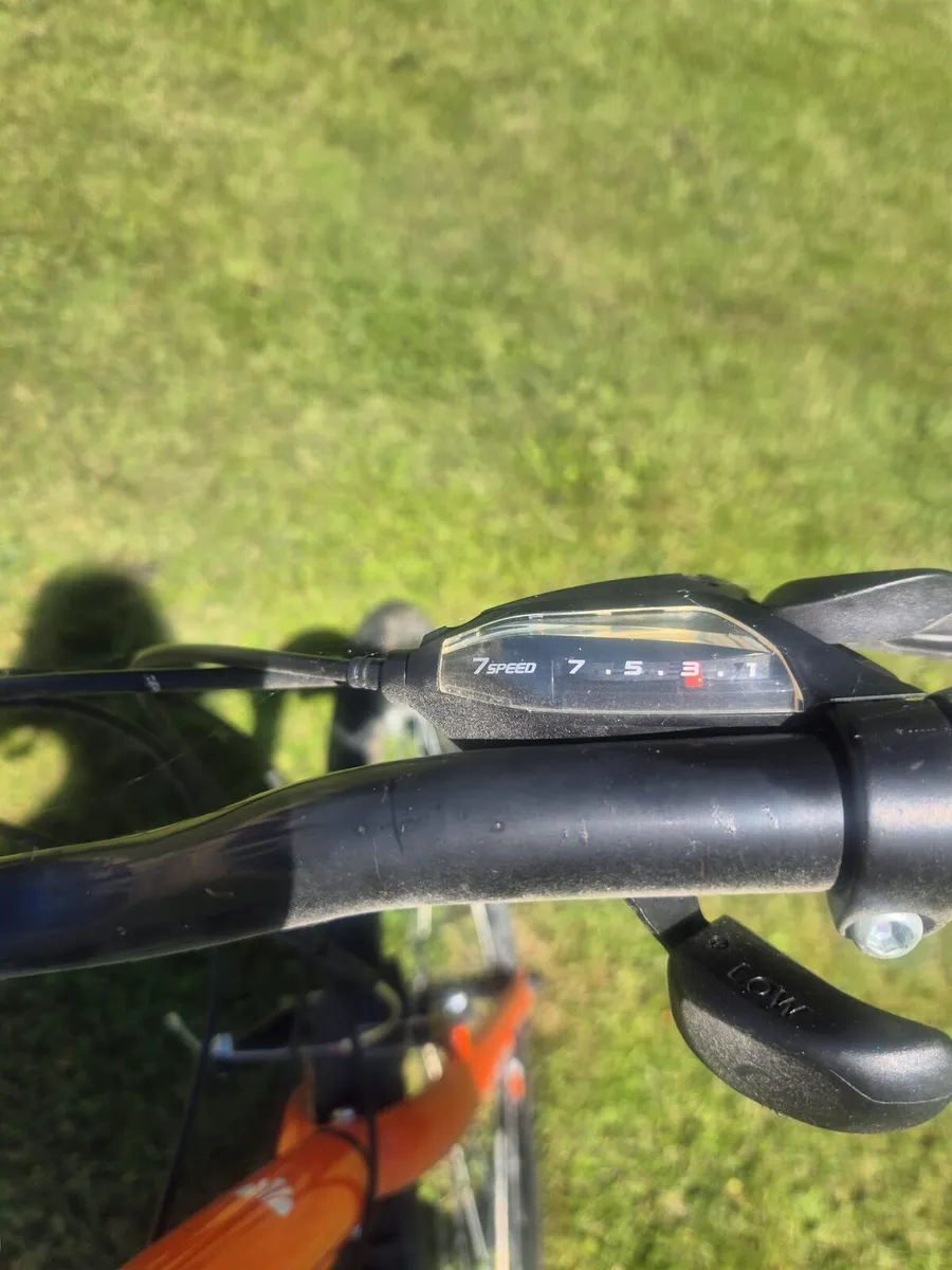 Trek adults bike - Image 3