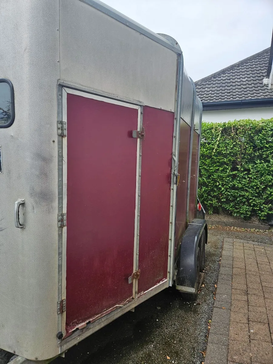 Ifor Williams 505 Horsebox for Sale in Co Meath - Image 2